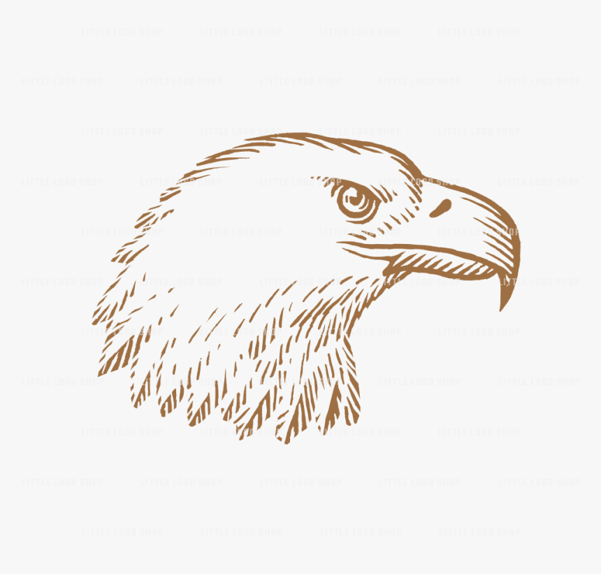 Geometric Eagle Png Bald Eagle Transparent Png Transparent