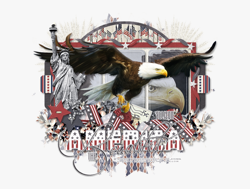 Eagle And Dees Sign Depot - Bald Eagle, HD Png Download