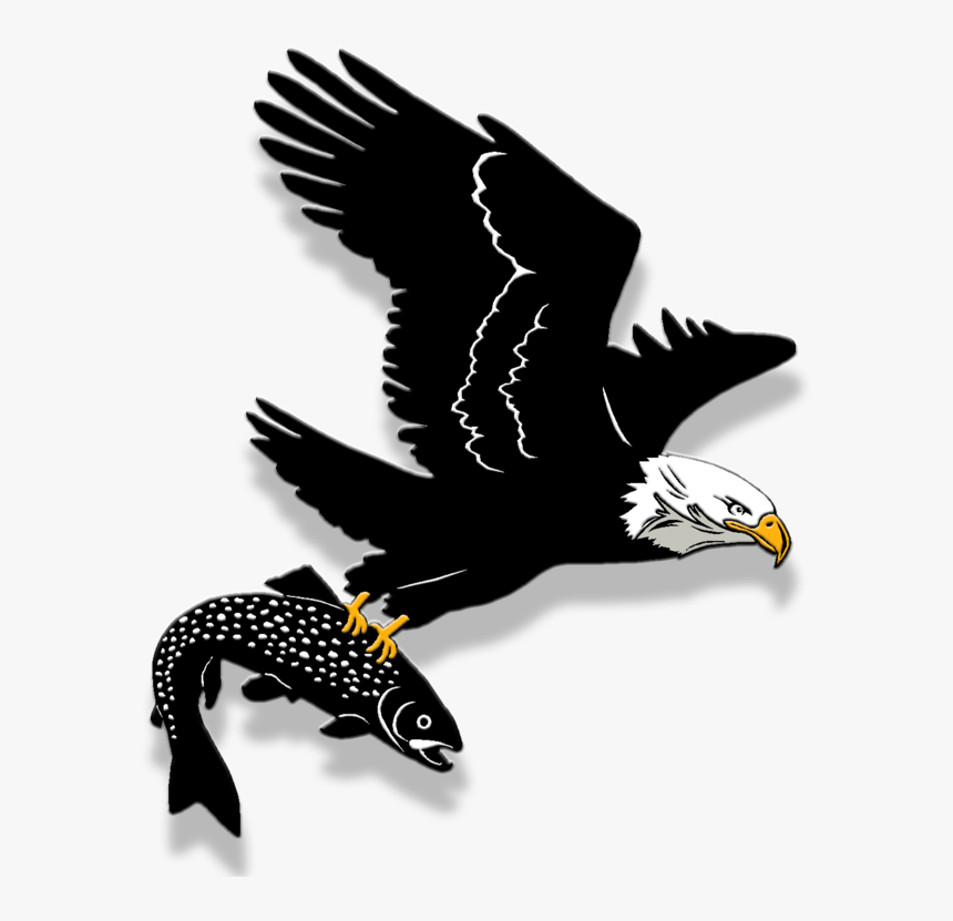 Bald Eagle , Png Download - Golden Eagle, Transparent Png