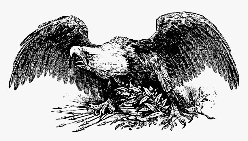 Bald, Eagle, Spread, Wings, Raptor, Predator, Symbol - War Eagle Clipart, HD Png Download