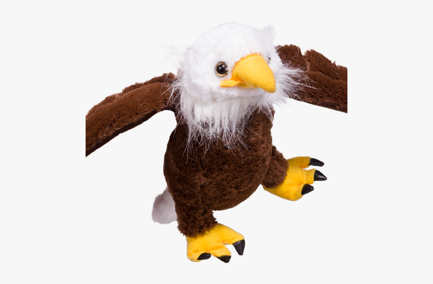 Bald Eagle, HD Png Download