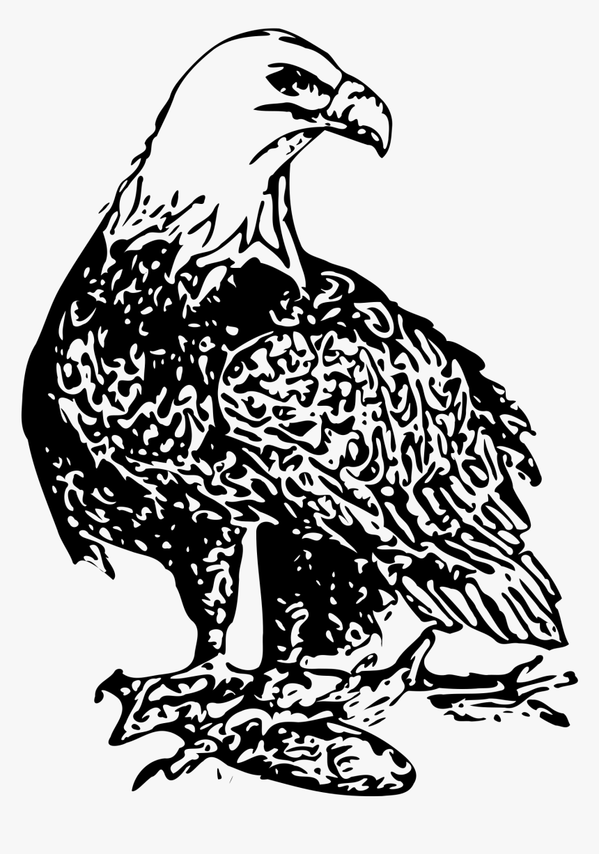 Bald Eagle 2 Clip Arts - Bald Eagle Black And White Free, HD Png Download