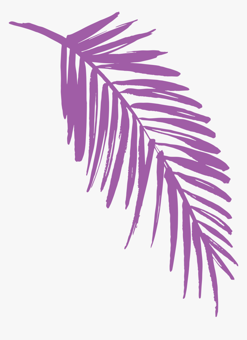 Transparent Jungle Leaf Png - Jungle Leaf Clip Art, Png Download