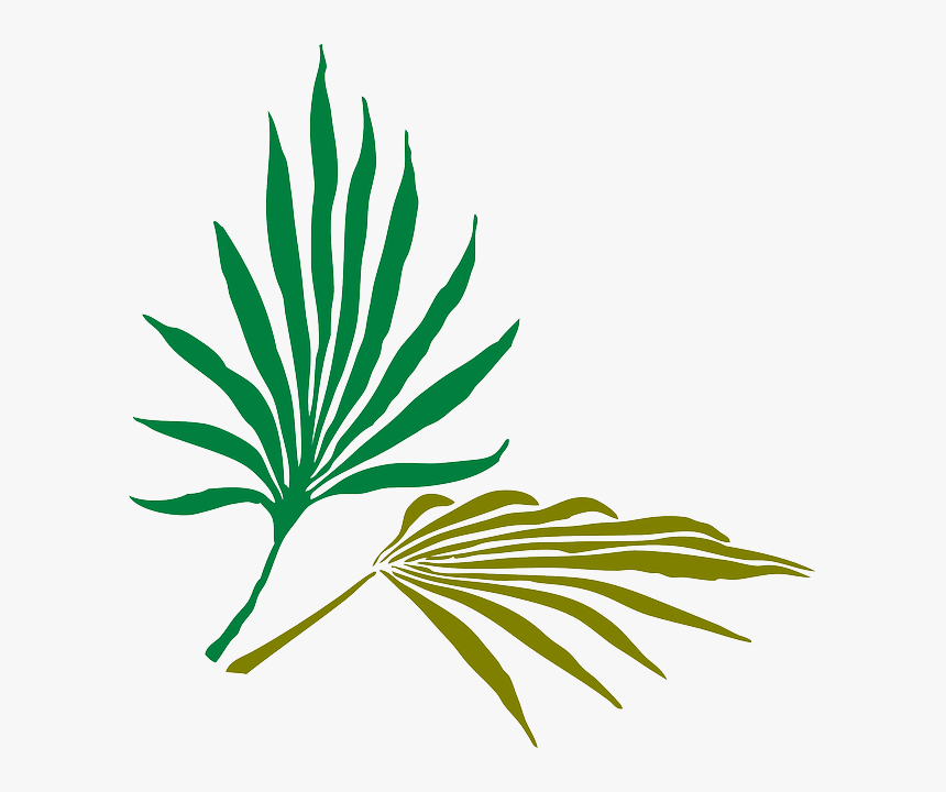 Palm Frond Clip Art, HD Png Download