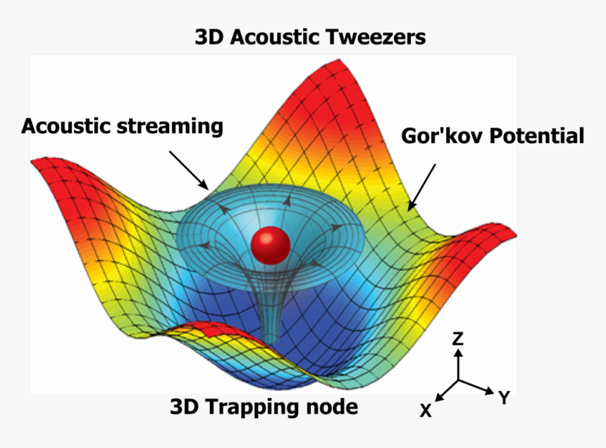 Acoustic Tweezers, HD Png Download