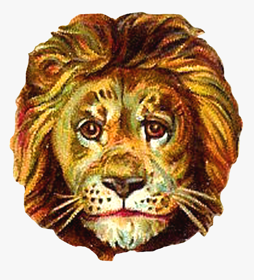 Masai Lion, HD Png Download