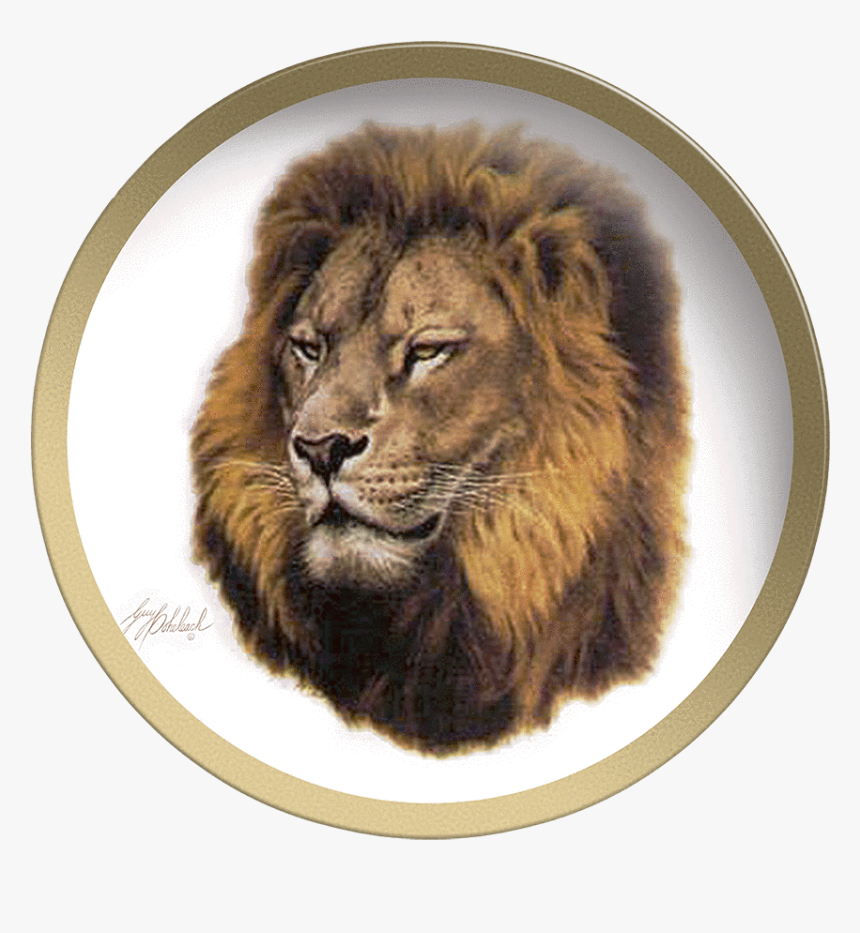 Collectable Plate By Guy Coheleach Lion Head Coffee - Lion, HD Png Download