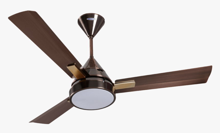 Fan Png, Transparent Png