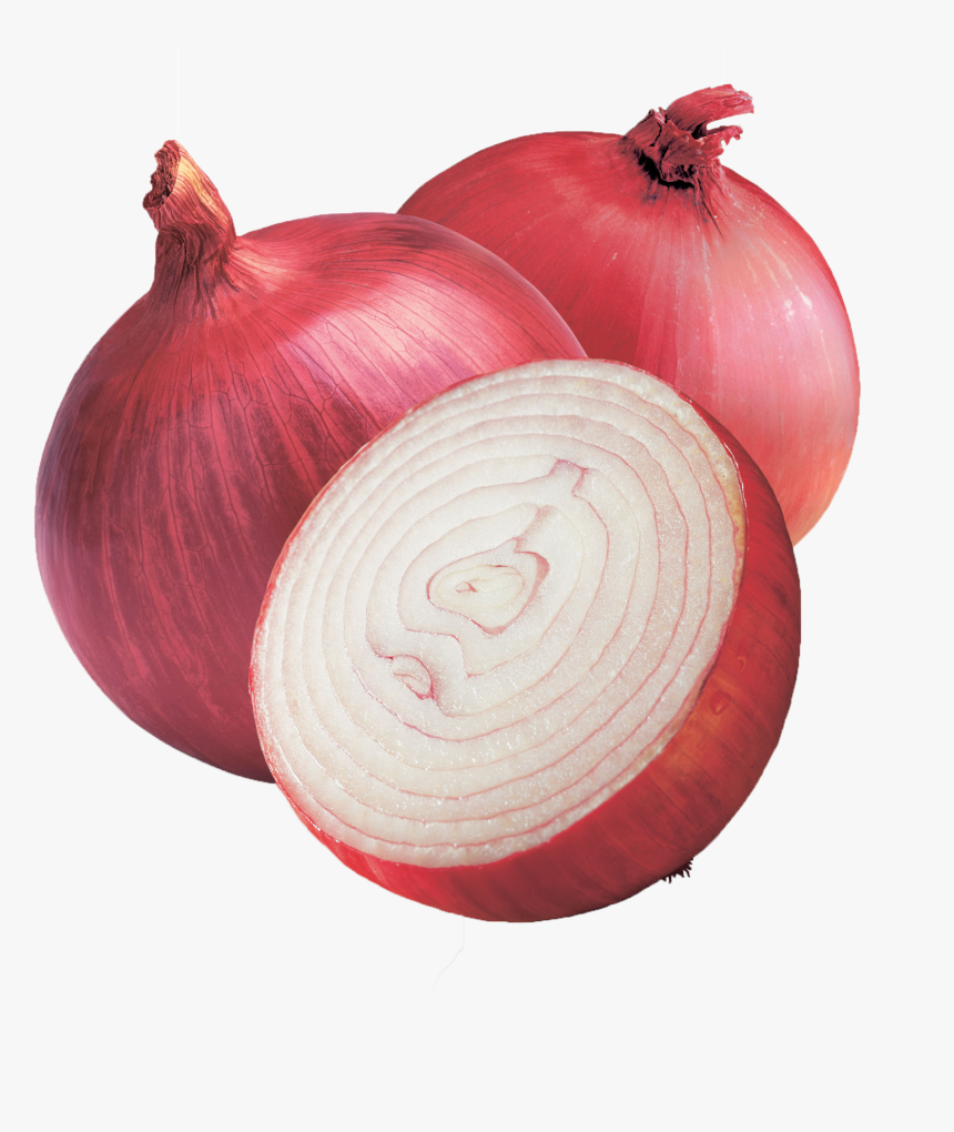 Onion Png Hd Wallpaper - Transparent Onion Png, Png Download
