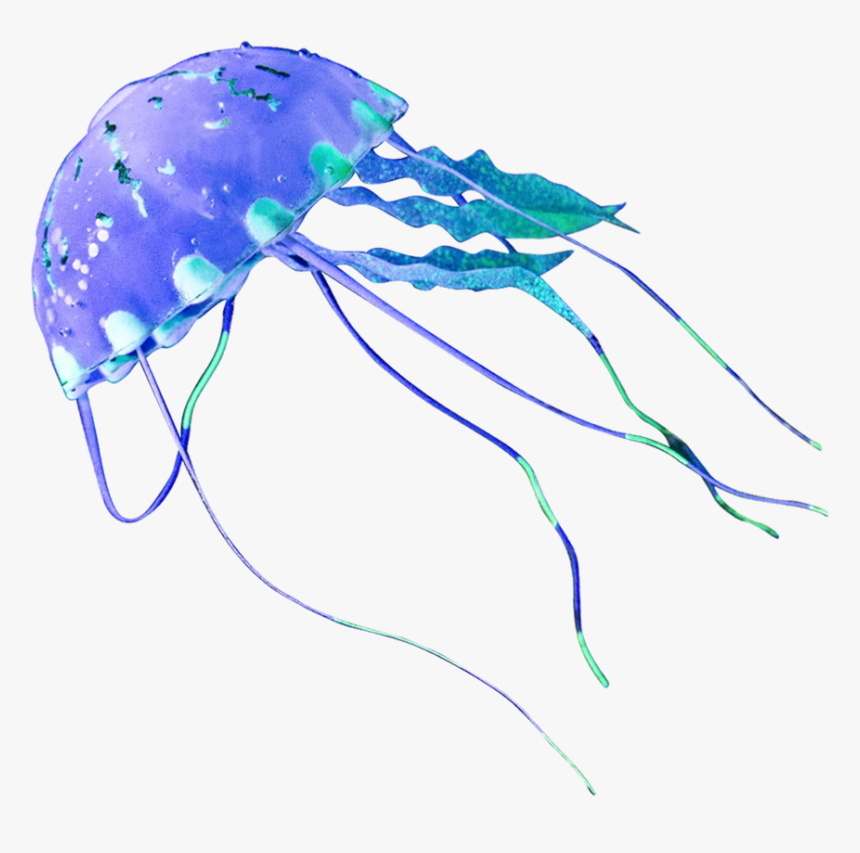 Jellyfish Png - Illustration, Transparent Png