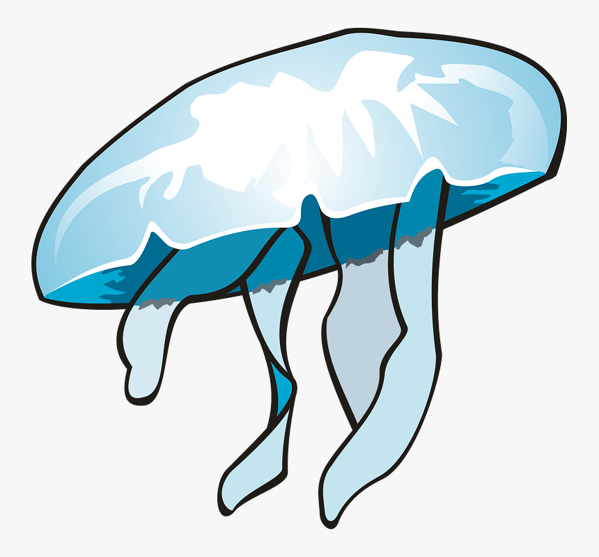 Jellyfish Ocean Clip Art - Vandmand Png, Transparent Png