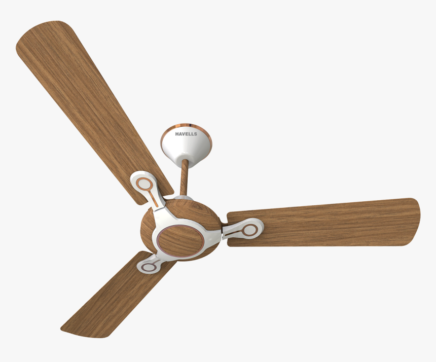 Decorative Fan - Fans, HD Png Download