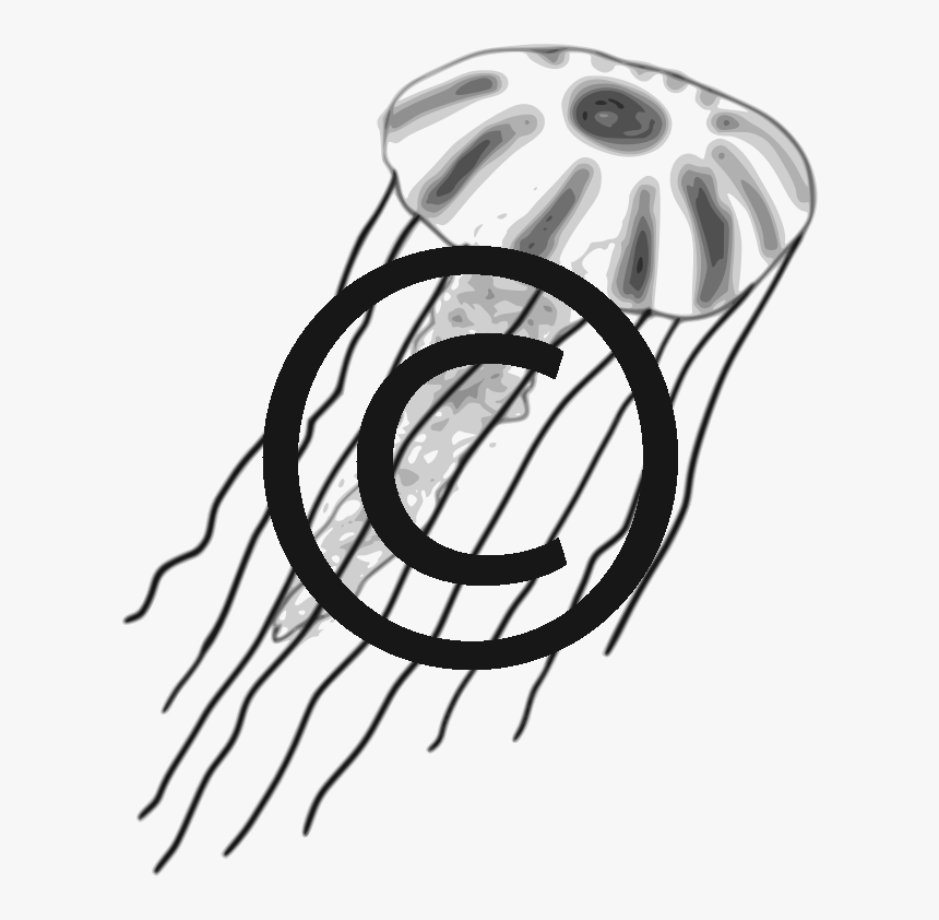 قنديل بحر رسم, HD Png Download