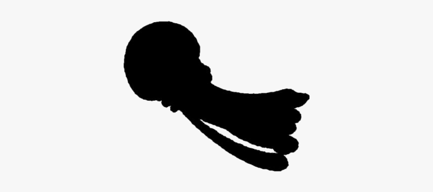 Transparent Jellyfish Png Full Hd - Silhouette, Png Download