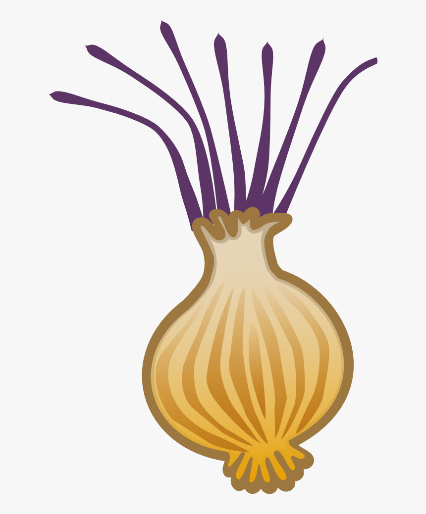 Clipart Vegetables, HD Png Download