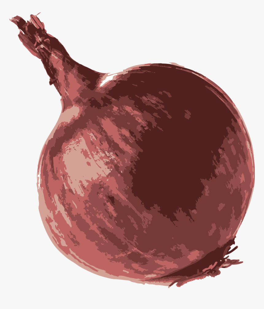 Onion 1, HD Png Download