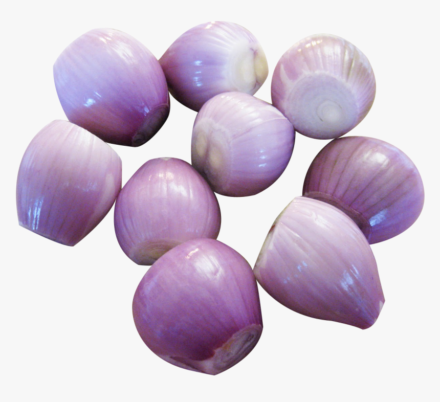Shallots Png, Transparent Png
