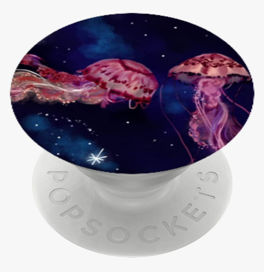 Cnidaria, HD Png Download