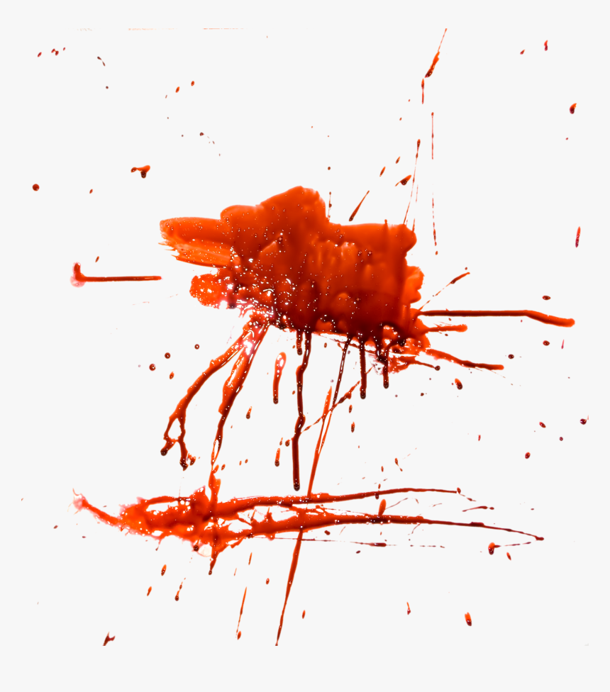 Blood Png Image - Splattered Tomato Transparent Background, Png Download