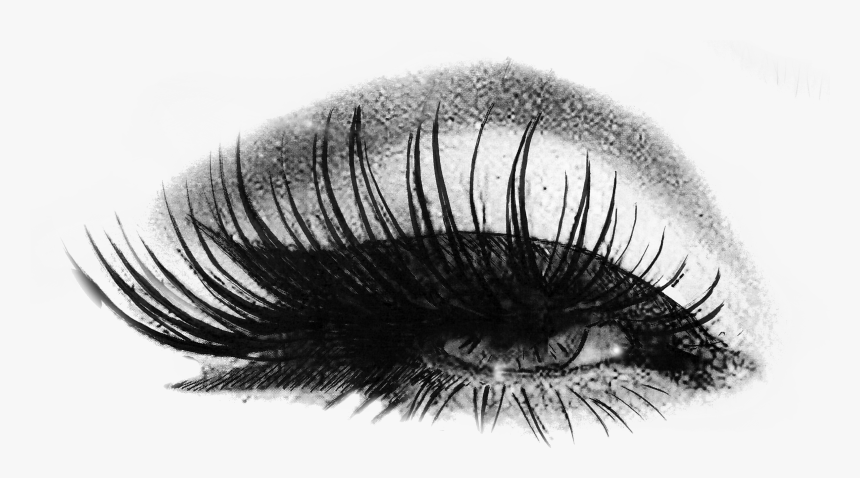 Logo - Lash And Brow Logos, HD Png Download