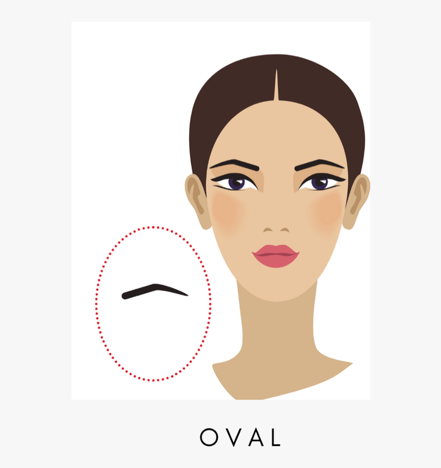 Oval Eyebrow Shape - Illustration, HD Png Download