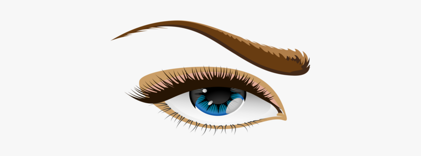 Eyelash,brown,eye - Human Eye Clipart, HD Png Download