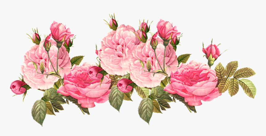 #flowers #flower #flor #flores #floral #roses #rose - Transparent Pink Flower Png, Png Download