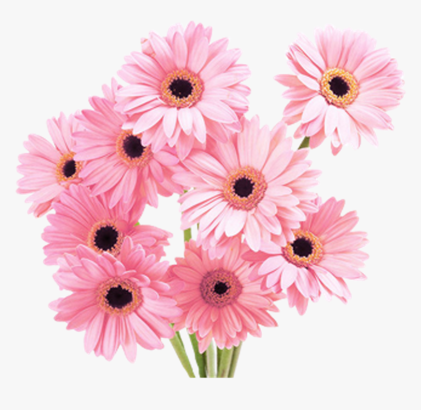 Flowers Png Tumblr - Flowers Png, Transparent Png