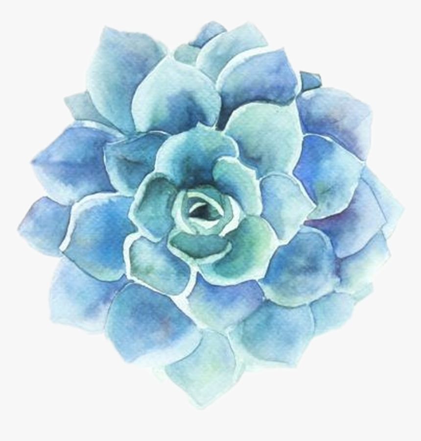 Flowers Png Tumblr, Transparent Png