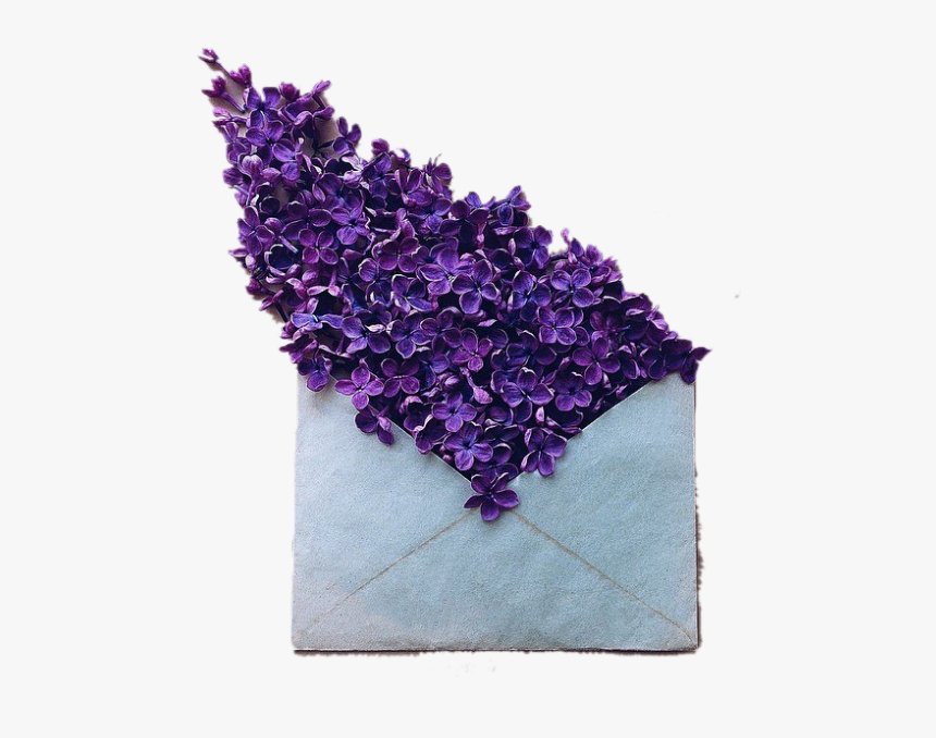 Image - Moodboard Png, Transparent Png