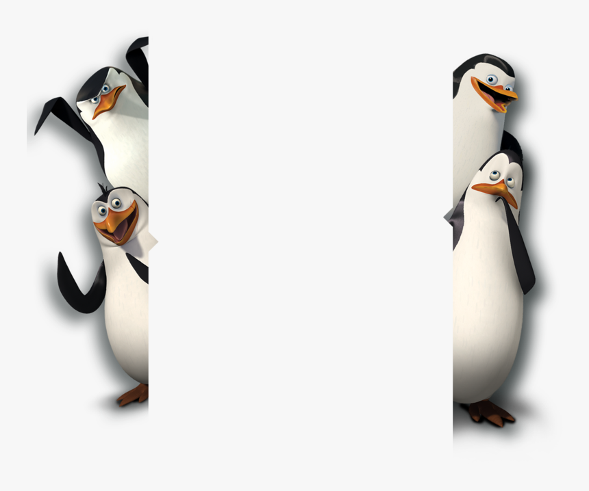 Penguins Of Madagascar Background, HD Png Download