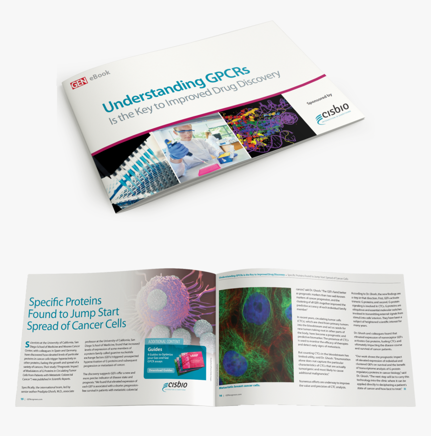 Flyer, HD Png Download