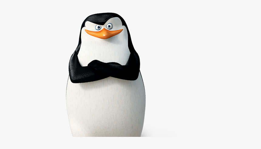 Penguins Of Madagascar Report, HD Png Download