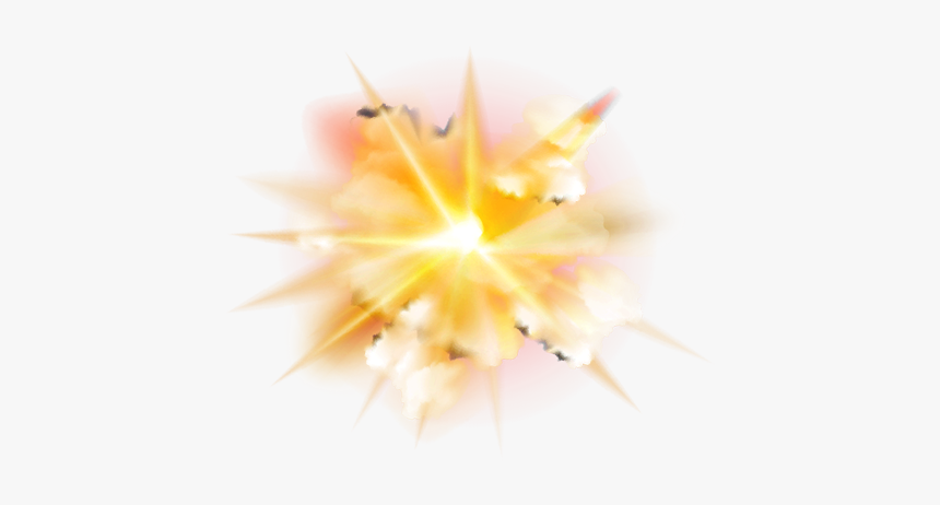 Marine Invertebrates, HD Png Download