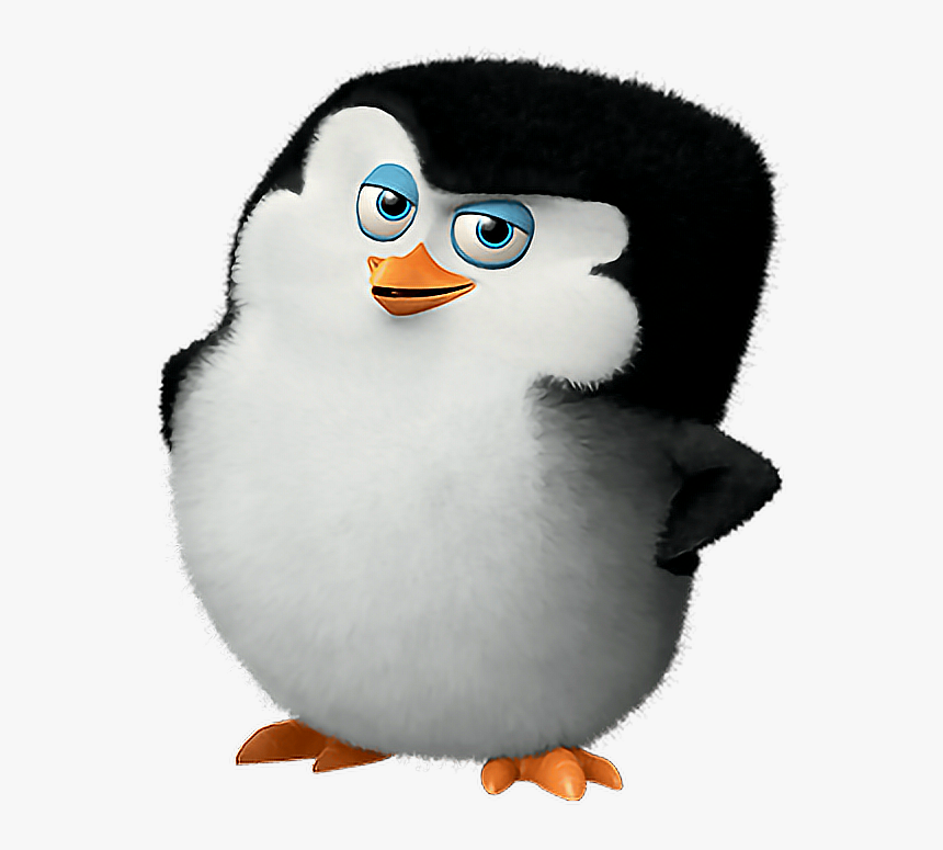 #madagascar #penguins #cute - Lies Always Come Back, HD Png Download