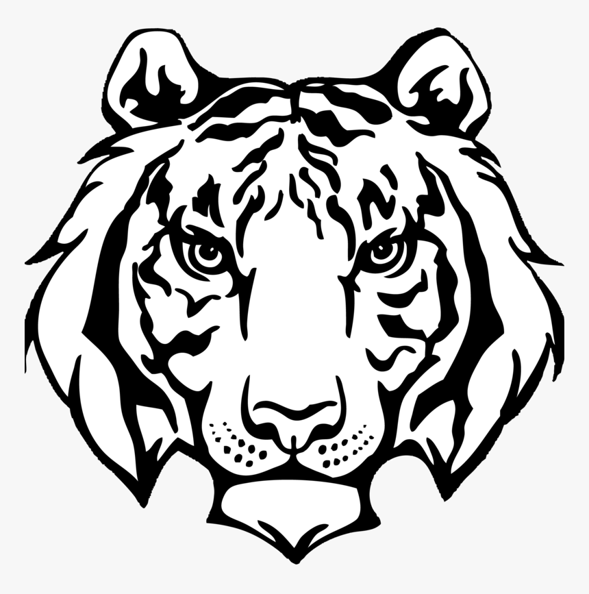 Am Wildcat Old Logo, HD Png Download