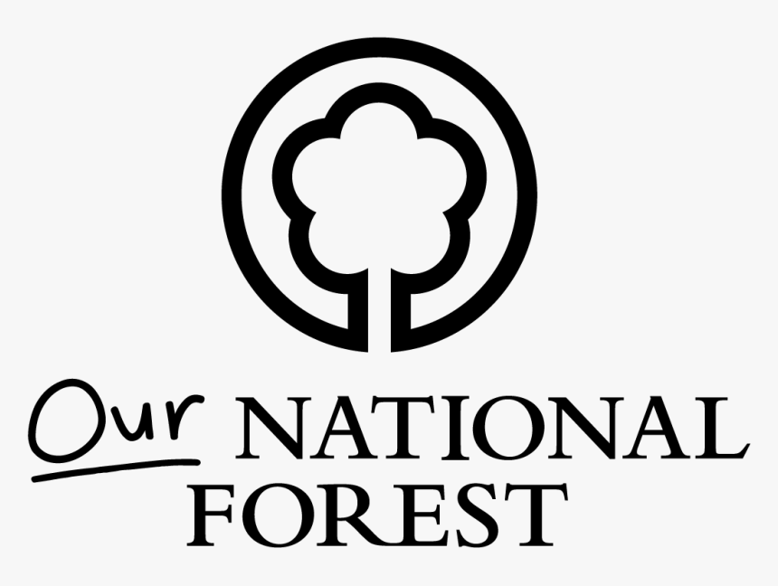 National Forest, HD Png Download