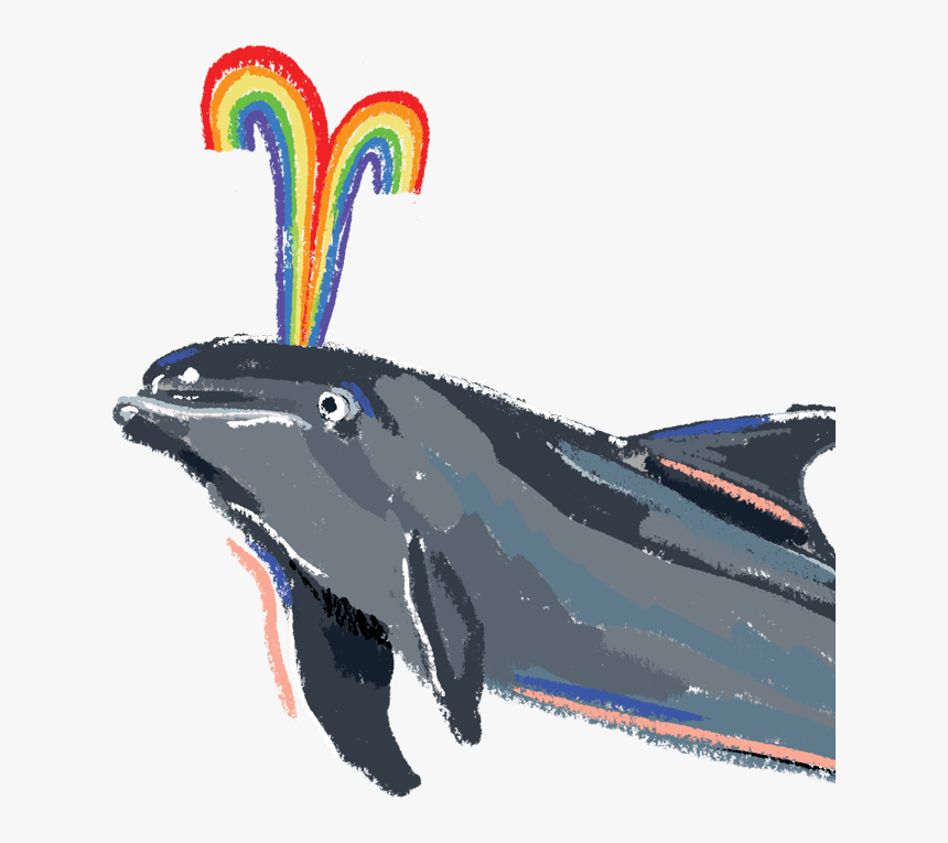 Image Of A Dolphin - Humpback Whale, HD Png Download