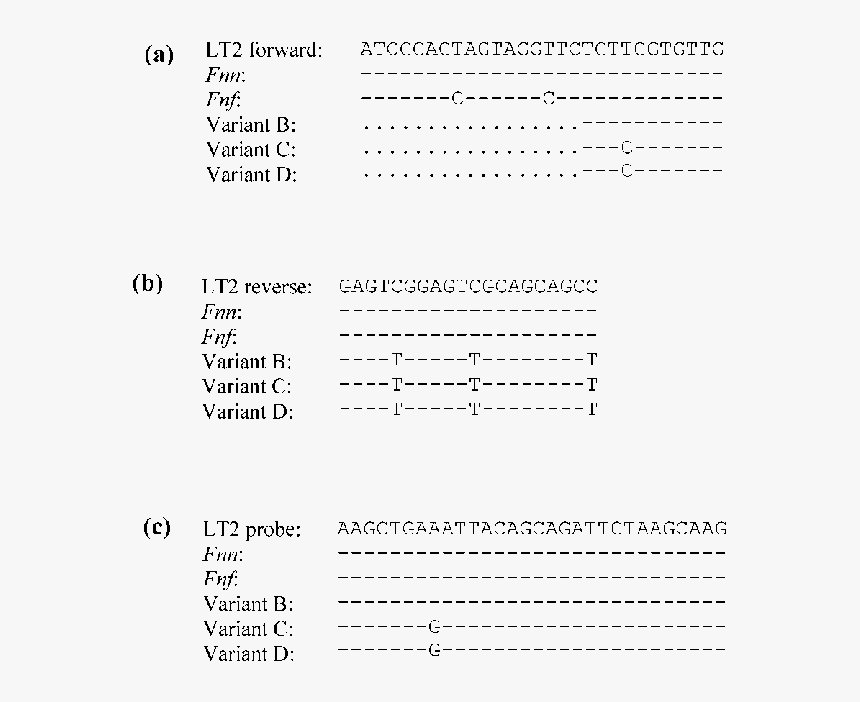 Document, HD Png Download