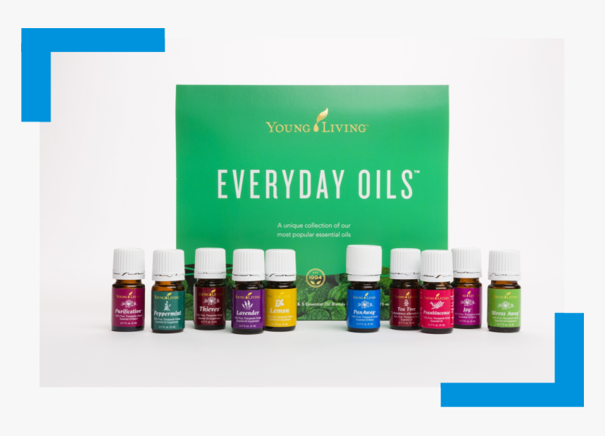 Image - Yl Everyday Oils Collection, HD Png Download