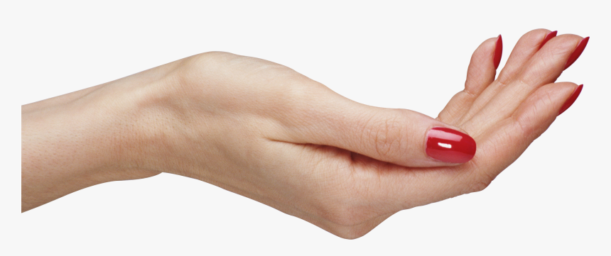 Transparent Hand Png Background, Png Download
