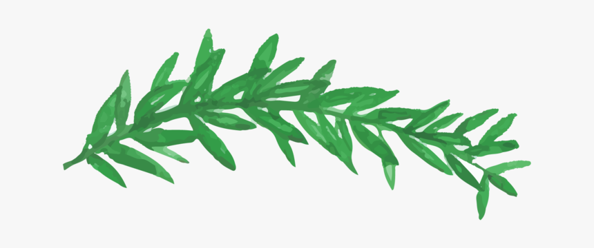 Web Dividers-03, HD Png Download