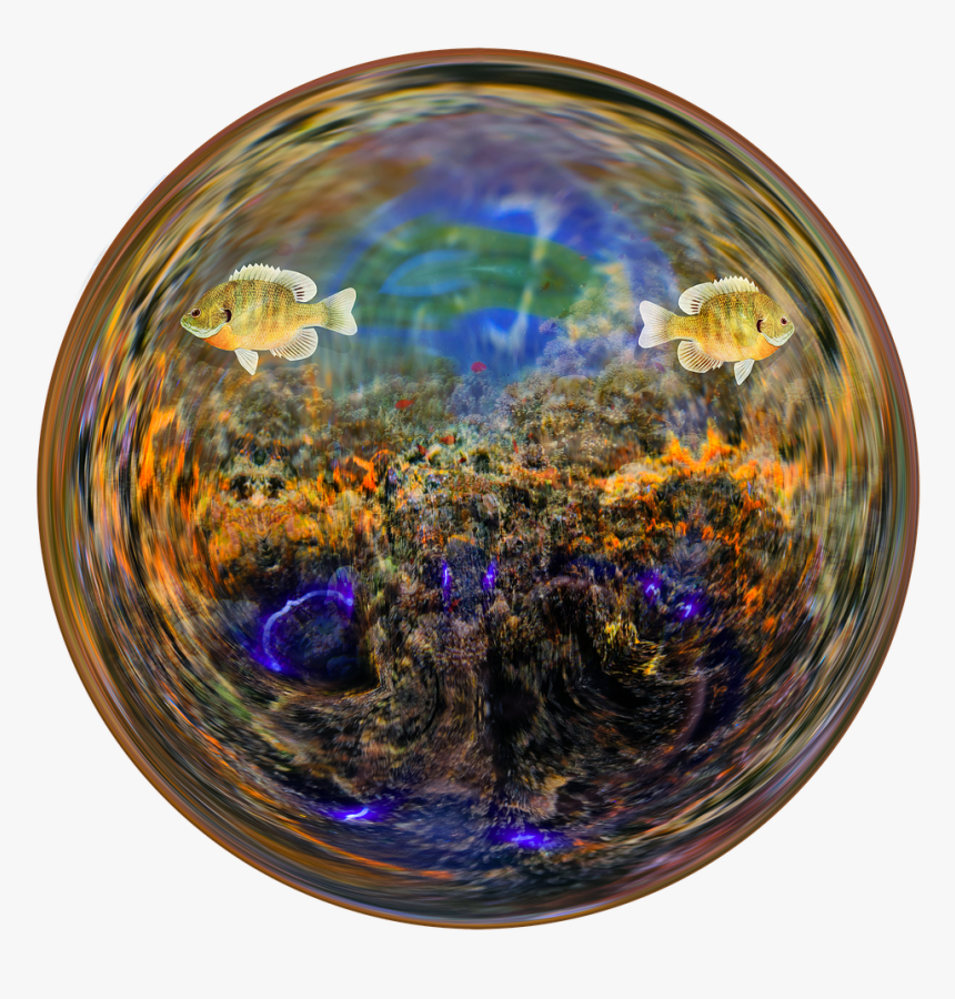 Circle, HD Png Download