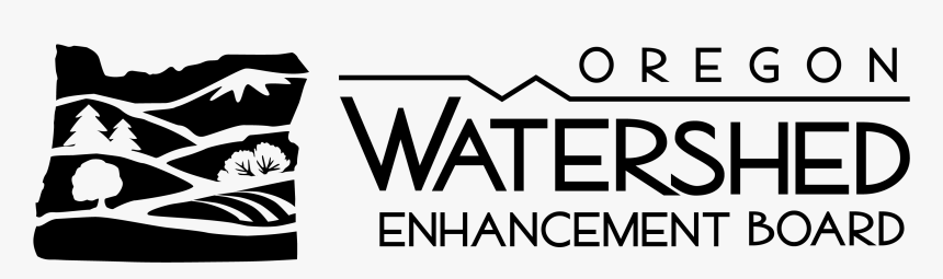 Oval, HD Png Download