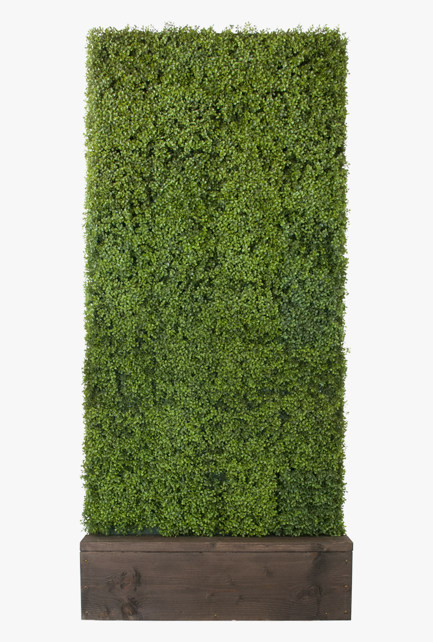 Hedge, HD Png Download