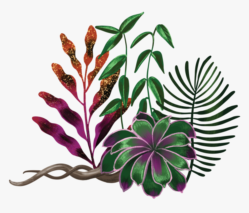 The Heart Of Whiteness Plant Illustration By Shyama - Ayahuasca Png, Transparent Png
