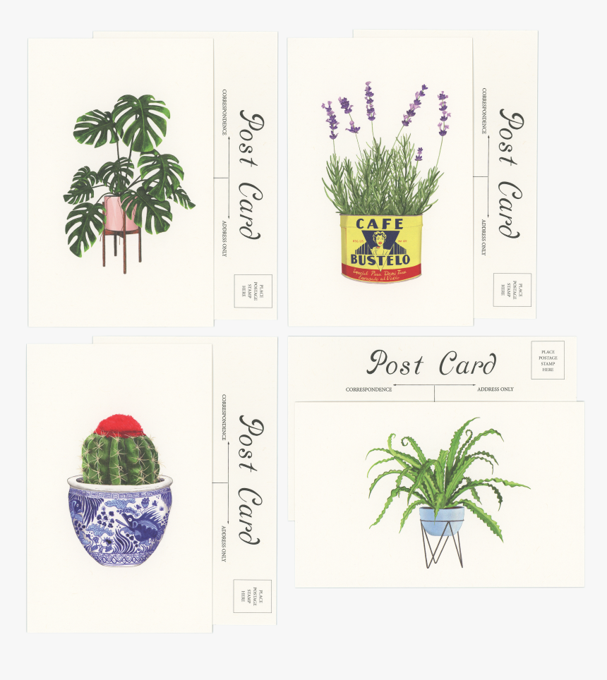 Plant Png Files, Transparent Png