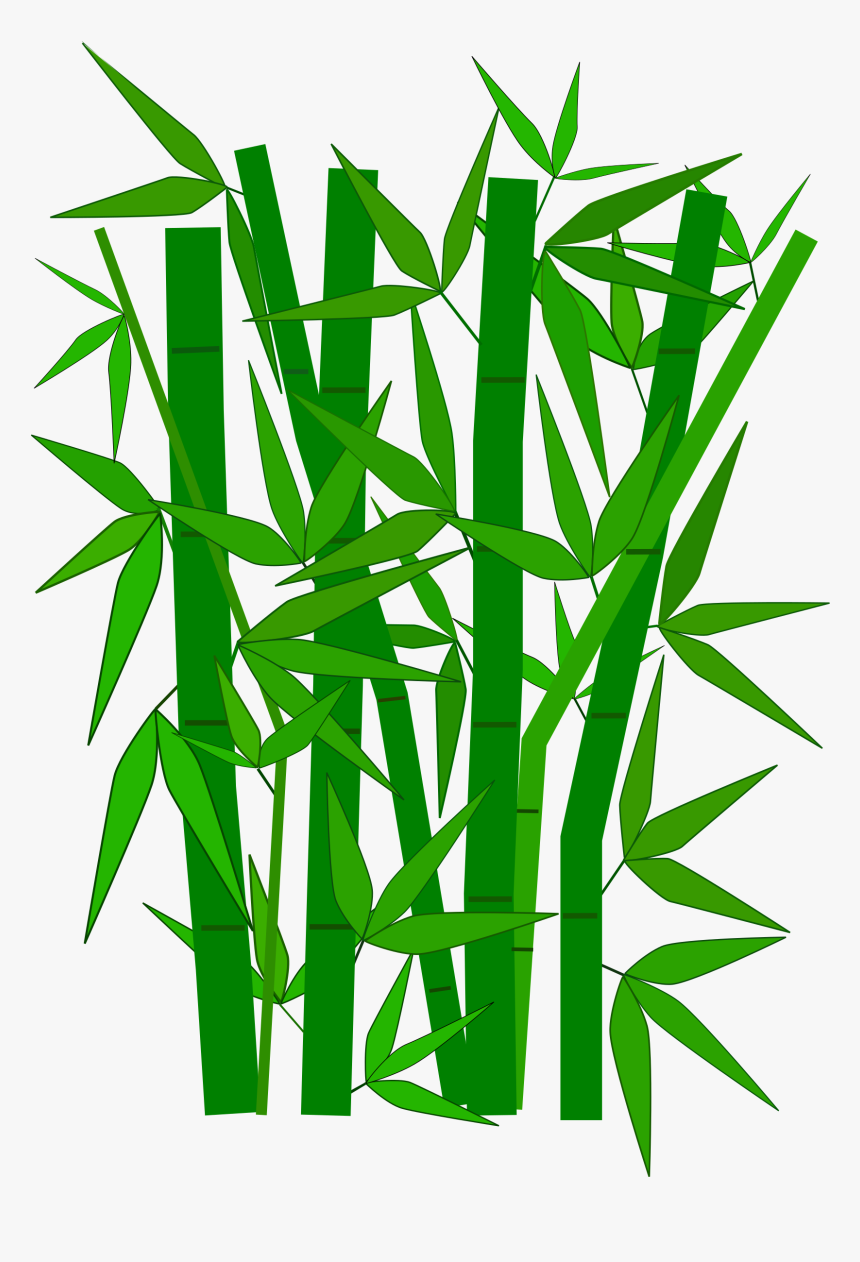 Line Art,grass Family,leaf - Bamboo Clipart, HD Png Download