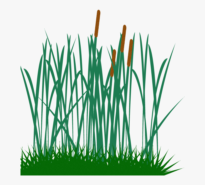 Tall Grass Clip - Tall Grass Clip Art, HD Png Download