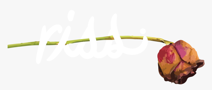 Apple , Png Download - Fruit, Transparent Png